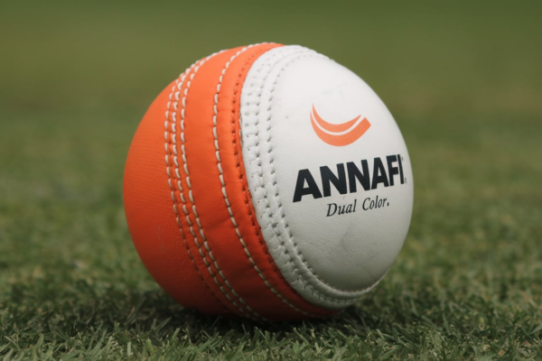 Annafi Dual Color Cricket Coaching Balls