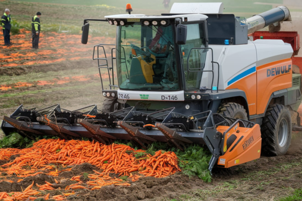 Dewulf Enduro Harvester Model D-7146