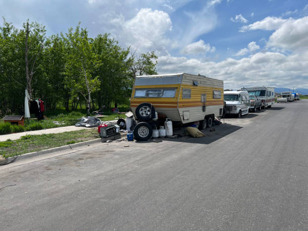 Local Trailer Hire